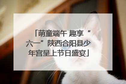 萌童端午 趣享“六一”陕西合阳县少年宫呈上节日盛宴