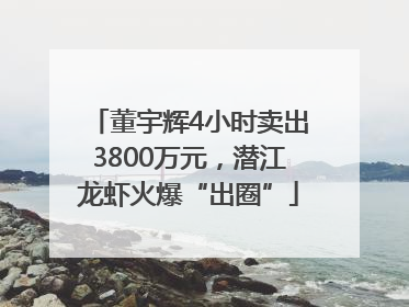董宇辉4小时卖出3800万元，潜江龙虾火爆“出圈”