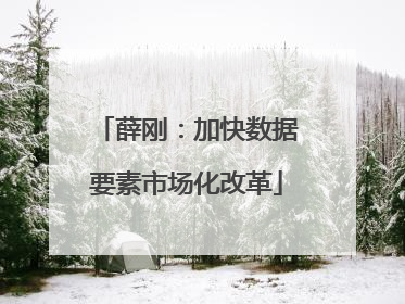 薛刚：加快数据要素市场化改革
