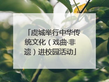 虞城举行中华传统文化（戏曲·非遗）进校园活动