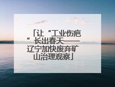 让“工业伤疤”长出春天——辽宁加快废弃矿山治理观察