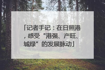 记者手记：在日照港，感受“港强、产旺、城绿”的发展脉动