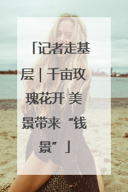记者走基层｜千亩玫瑰花开 美景带来“钱景”