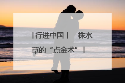 行进中国丨一株水草的“点金术”
