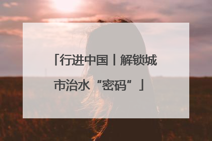 行进中国丨解锁城市治水“密码”