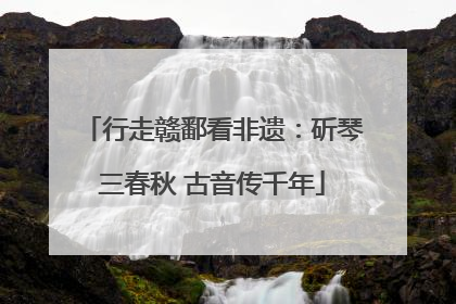 行走赣鄱看非遗：斫琴三春秋 古音传千年