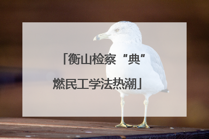 衡山检察“典”燃民工学法热潮