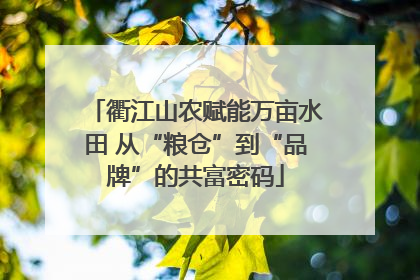 衢江山农赋能万亩水田 从“粮仓”到“品牌”的共富密码