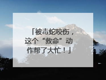 被毒蛇咬伤，这个“救命”动作帮了大忙！