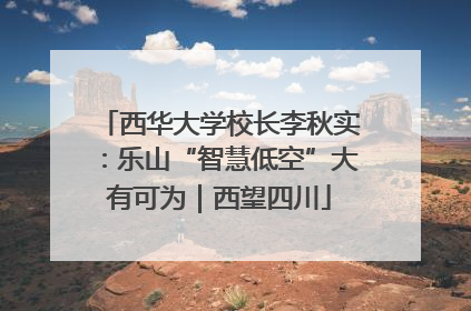 西华大学校长李秋实：乐山“智慧低空”大有可为｜西望四川