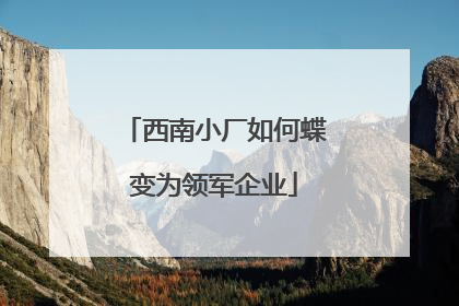 西南小厂如何蝶变为领军企业