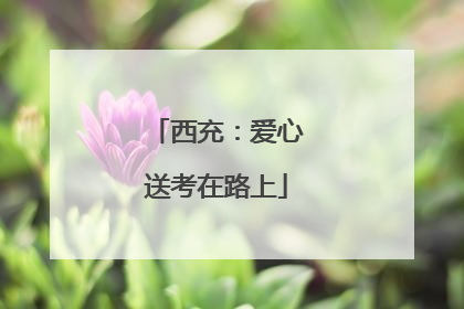 西充：爱心送考在路上