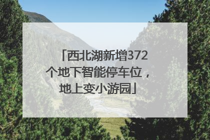 西北湖新增372个地下智能停车位，地上变小游园