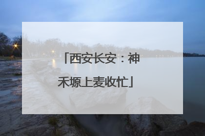 西安长安：神禾塬上麦收忙