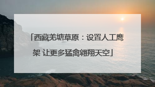 西藏羌塘草原：设置人工鹰架 让更多猛禽翱翔天空