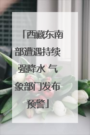 西藏东南部遭遇持续强降水 气象部门发布预警