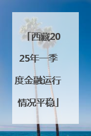 西藏2025年一季度金融运行情况平稳