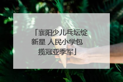 襄阳少儿乓坛绽新星 人民小学包揽冠亚季军