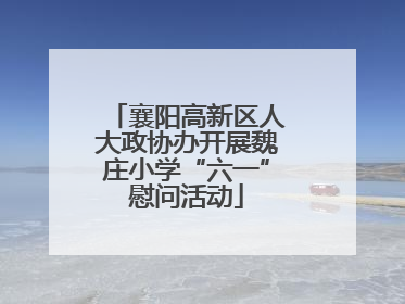 襄阳高新区人大政协办开展魏庄小学“六一”慰问活动