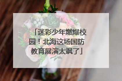 迷彩少年燃爆校园！北海这场国防教育展演太飒了