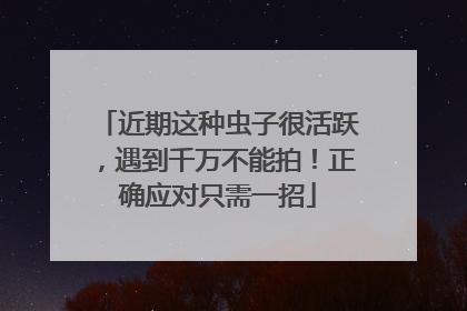 近期这种虫子很活跃，遇到千万不能拍！正确应对只需一招