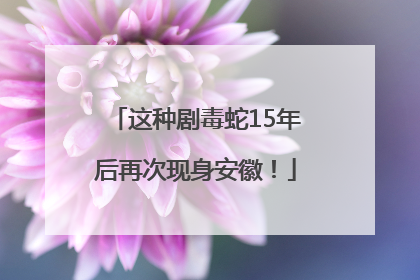 这种剧毒蛇15年后再次现身安徽！