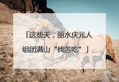 这些天，丽水庆元人组团满山“找苦吃”