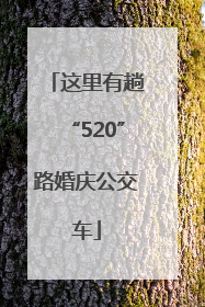 这里有趟“520”路婚庆公交车
