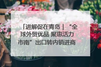进解促在青岛｜“全球外贸优品 聚惠活力市南”出口转内销进商超专场活动启动