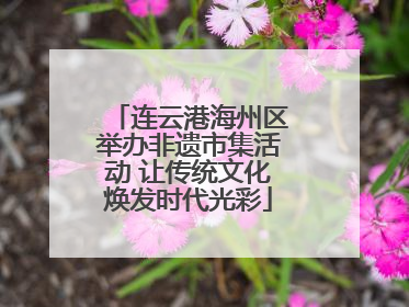 连云港海州区举办非遗市集活动 让传统文化焕发时代光彩