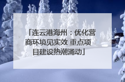 连云港海州：优化营商环境见实效 重点项目建设热潮涌动