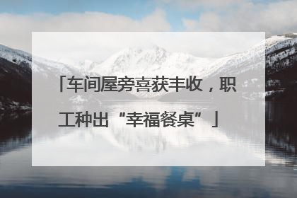 车间屋旁喜获丰收，职工种出“幸福餐桌”
