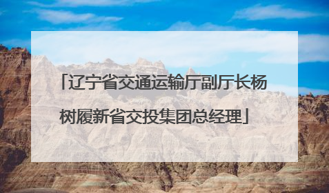 辽宁省交通运输厅副厅长杨树履新省交投集团总经理