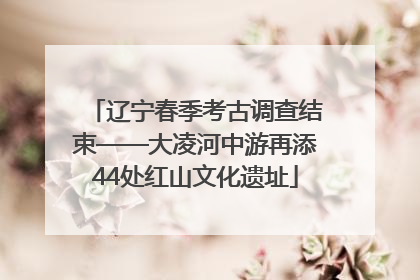 辽宁春季考古调查结束——大凌河中游再添44处红山文化遗址