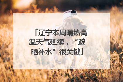 辽宁本周晴热高温天气延续，“避晒补水”很关键