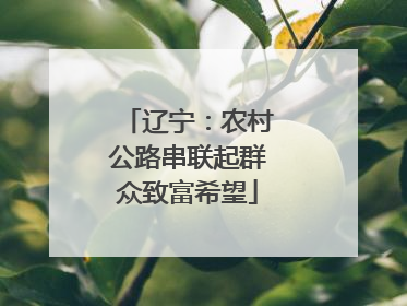 辽宁：农村公路串联起群众致富希望