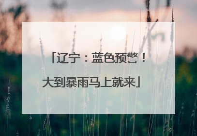 辽宁：蓝色预警！大到暴雨马上就来