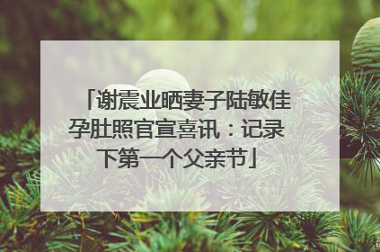 谢震业晒妻子陆敏佳孕肚照官宣喜讯：记录下第一个父亲节