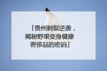 贵州刺梨逆袭，揭秘野果变身健康奢侈品的密码