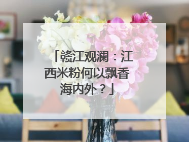 赣江观澜：江西米粉何以飘香海内外？