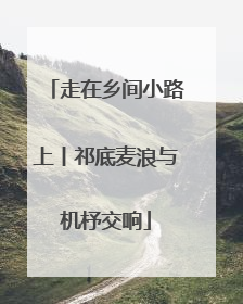 走在乡间小路上丨祁底麦浪与机杼交响