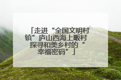 走进“全国文明村镇”庐山西海上畈村 探寻和美乡村的“幸福密码”