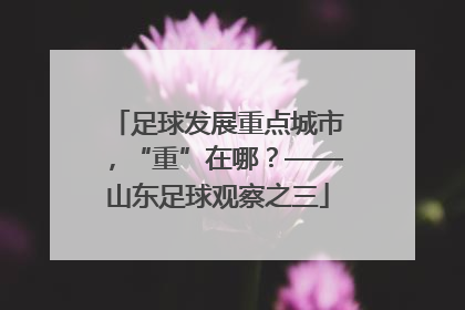 足球发展重点城市，“重”在哪？——山东足球观察之三