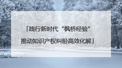 践行新时代“枫桥经验” 推动知识产权纠纷高效化解