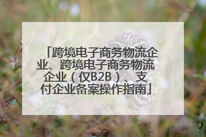 跨境电子商务物流企业、跨境电子商务物流企业（仅B2B）、支付企业备案操作指南
