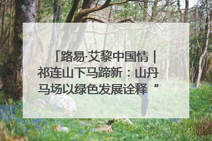 路易·艾黎中国情｜祁连山下马蹄新：山丹马场以绿色发展诠释“两山”理论实践