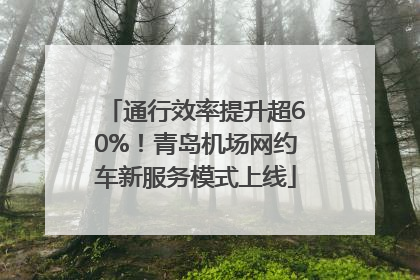 通行效率提升超60%！青岛机场网约车新服务模式上线