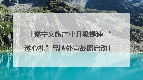 遂宁文旅产业升级提速 “遂心礼”品牌外宣战略启动