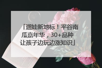 遛娃新地标！平谷南瓜嘉年华，30+品种让孩子边玩边涨知识