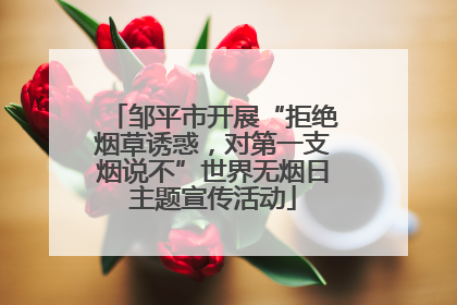 邹平市开展“拒绝烟草诱惑，对第一支烟说不”世界无烟日主题宣传活动